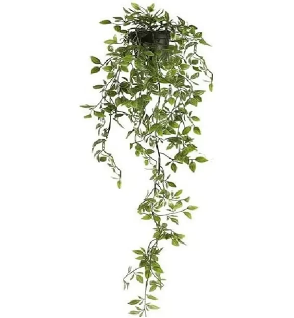 Modaleo Artificial Plant 1 x Plant Height 70 cm Pot 9 cm