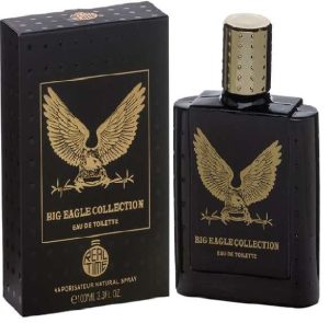 Modaleo - REAL TIME Men's Eau de Toilette Big Eagle Black 100 ml