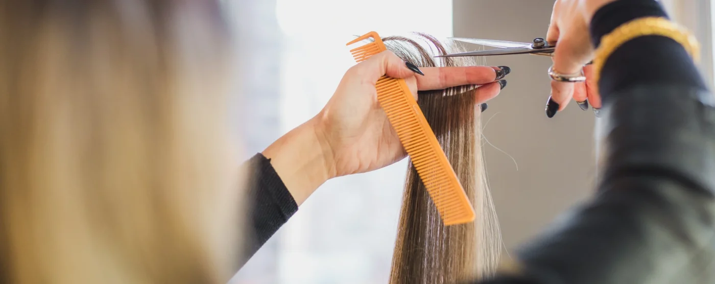 Hair Clip Extensions