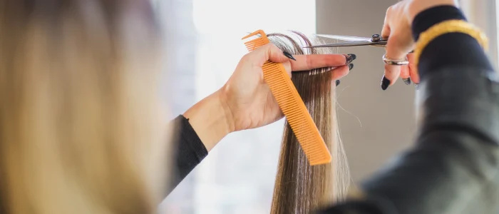 Hair Clip Extensions