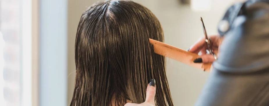 Hair Clip Extensions