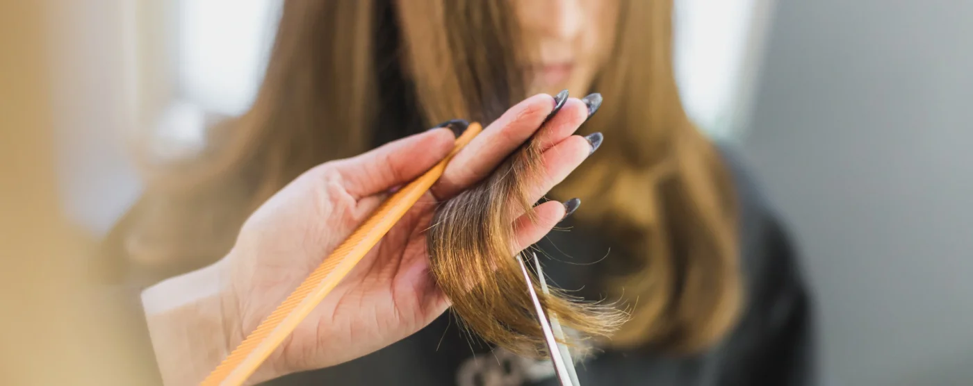 Hair Clip Extensions